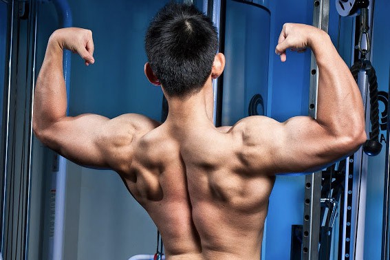 singapore muscle building personal training