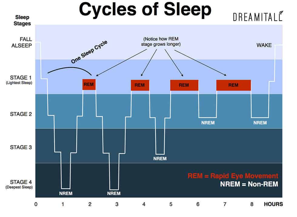 deep vs light vs rem sleep