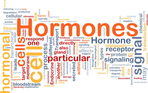 Don’t send the wrong message! Rest and recovery from a hormonal perspective.