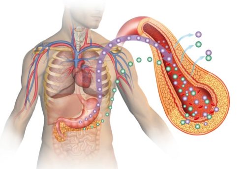 Are you insulin resistant? 7 Important Tips to Increase Your Insulin Sensitivity